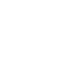 Vector